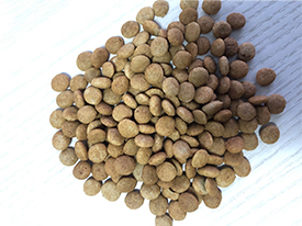 개밥 기계 공급업체 Dog Food Machine Supplier